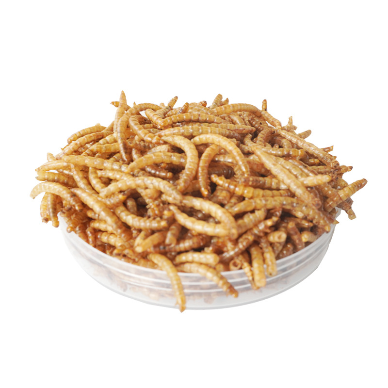 Food Snacks With High Protein - Snacks de Alta Proteína para Hamsters,